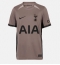 Tottenham Hotspur Brennan Johnson #22 Replika Tredjedrakt 2023-24 Kortermet